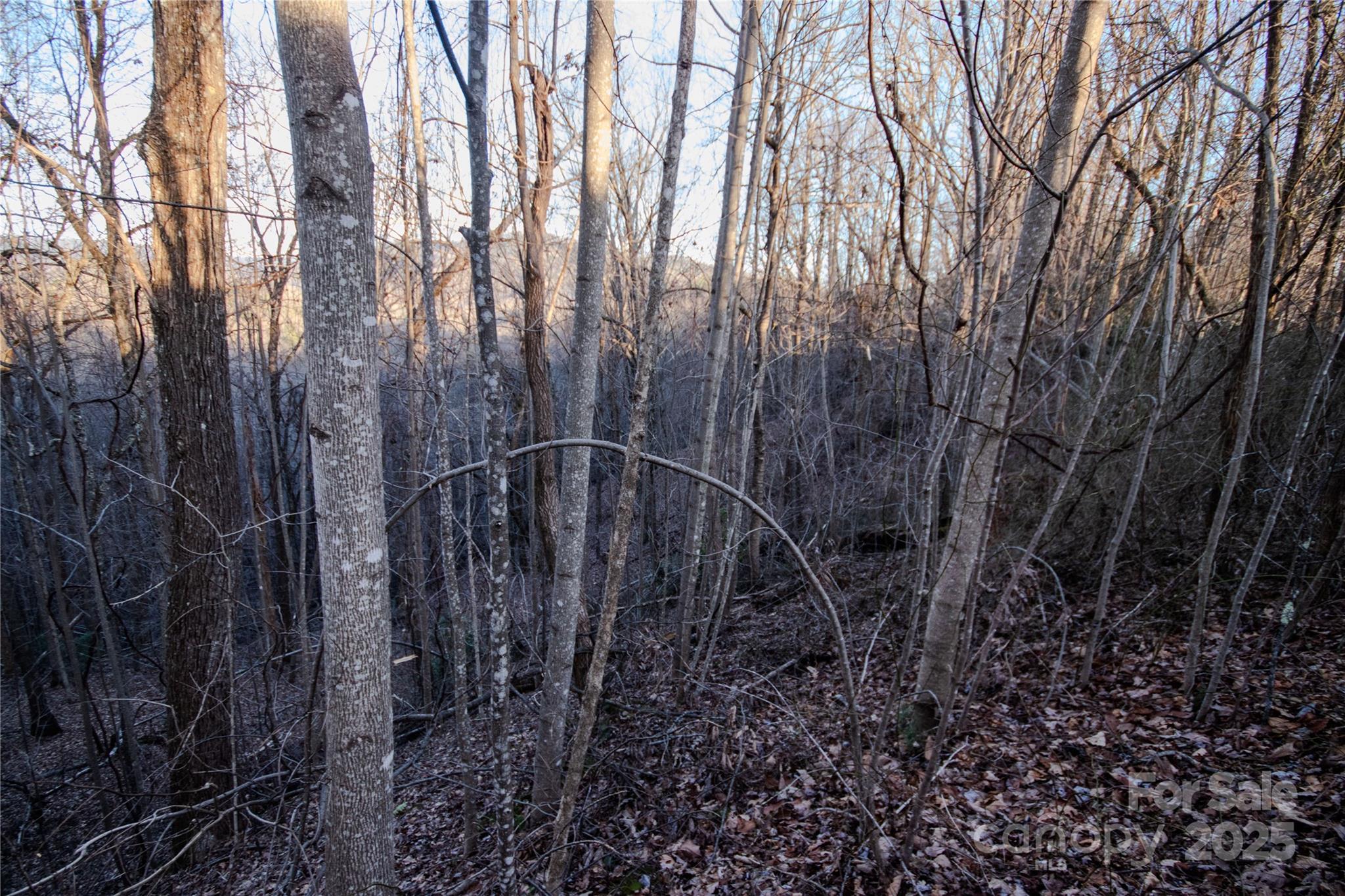 Lot# 22 Autumn Ridge 22 Property Photo 20