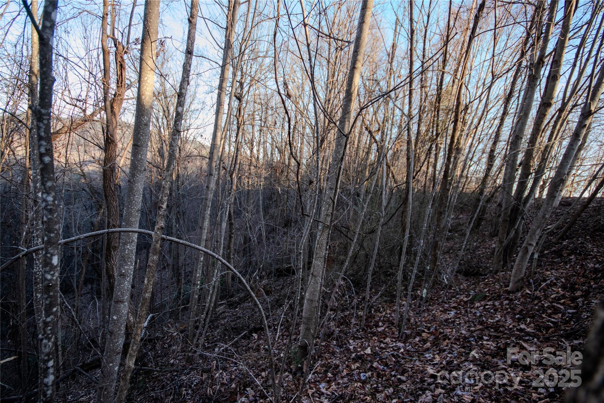 Lot# 22 Autumn Ridge 22 Property Photo 21