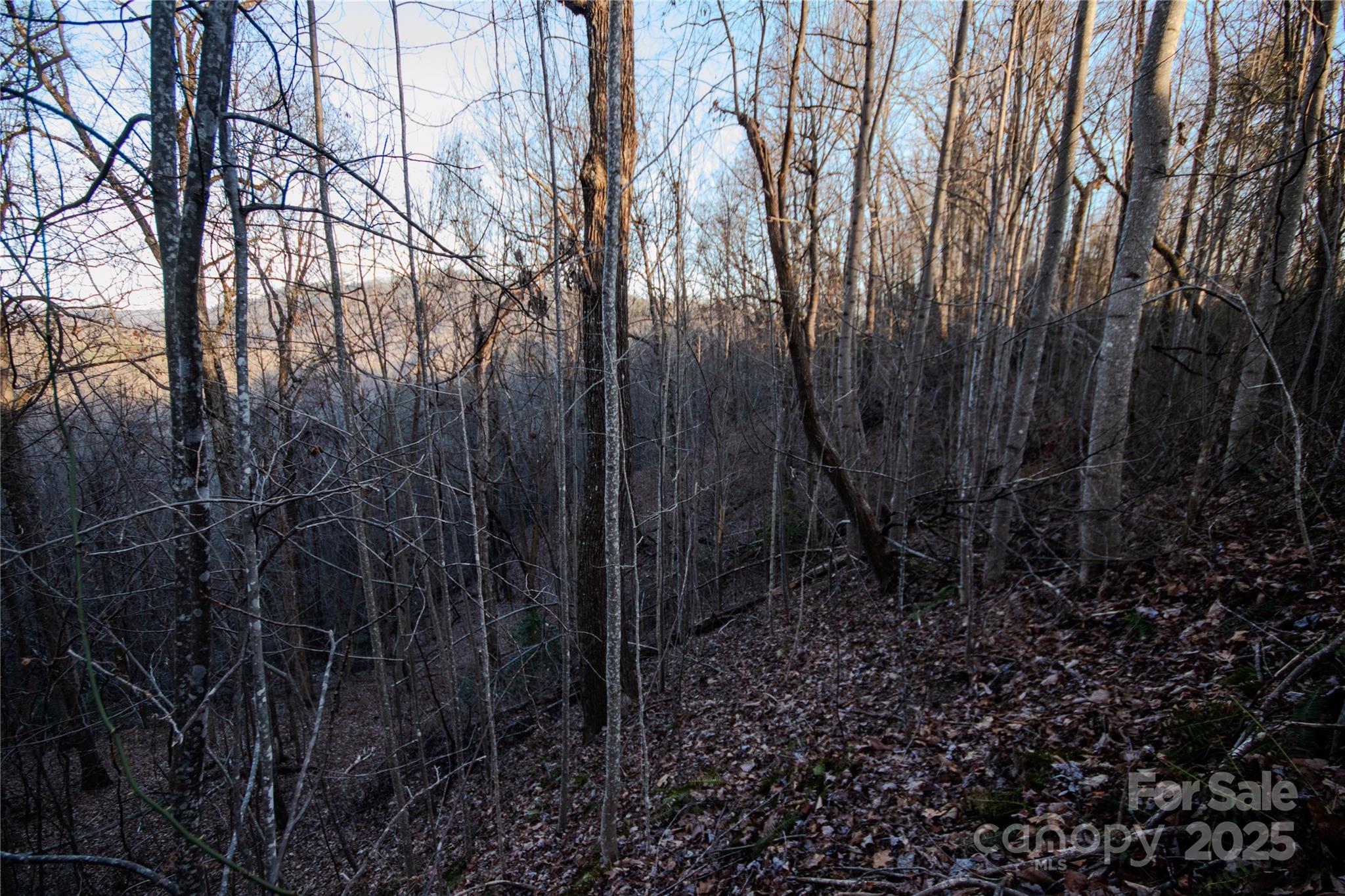 Lot# 22 Autumn Ridge 22 Property Photo 22