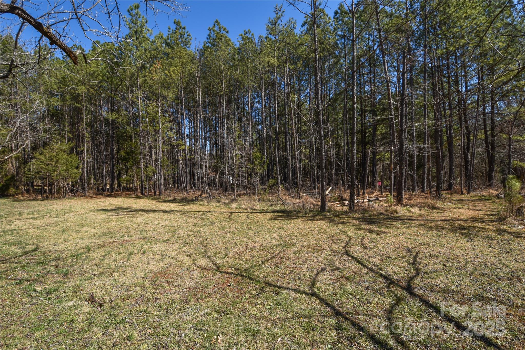 0 Mccoy Road Property Photo