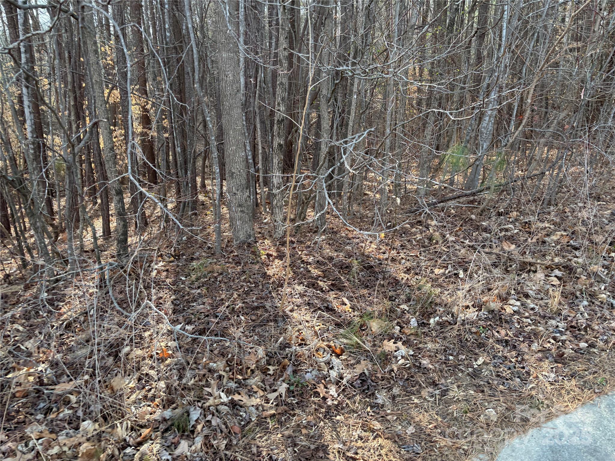 5461 Oakmont Street Property Photo 7