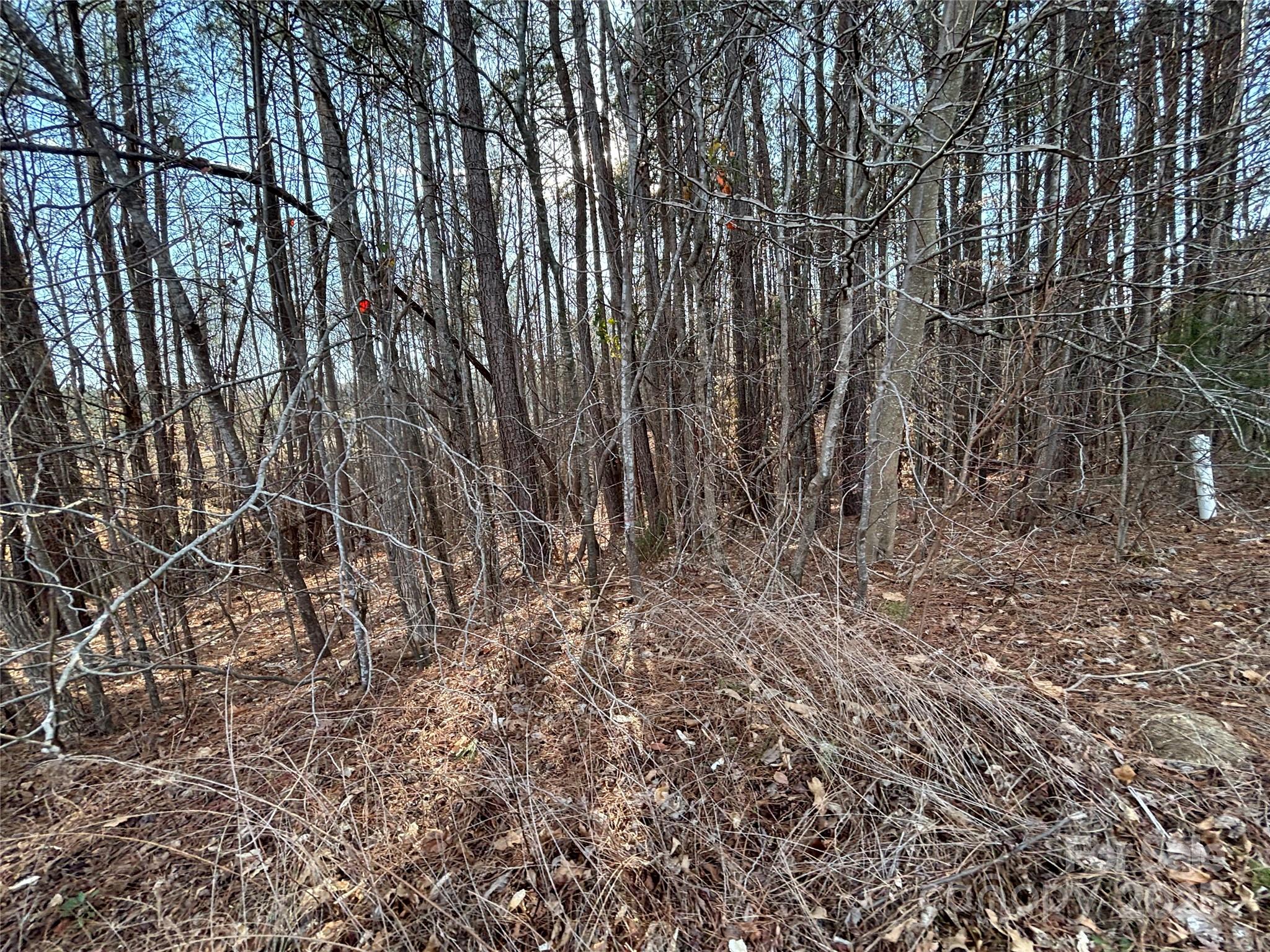 5461 Oakmont Street Property Photo 8