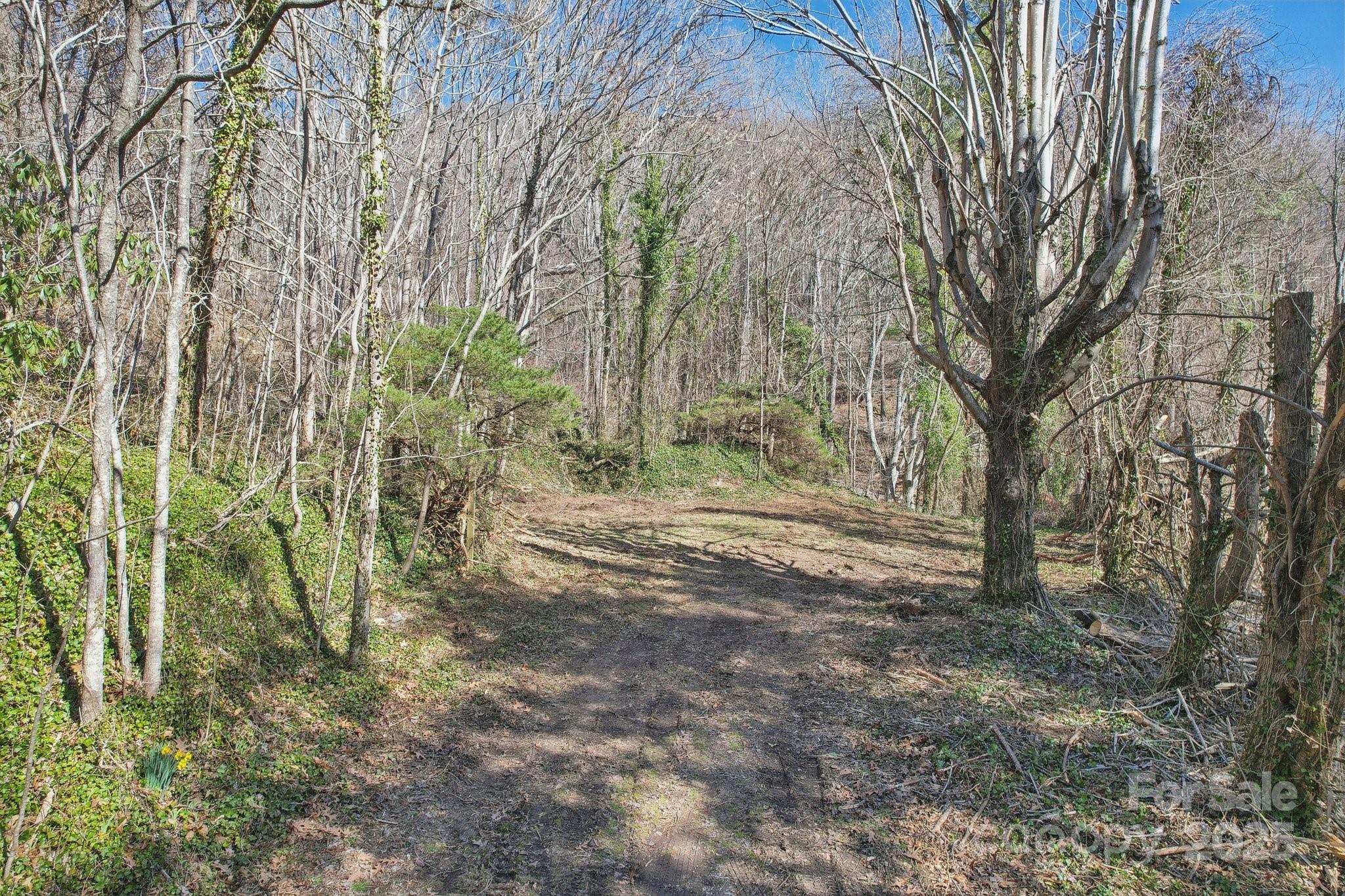 151 Maney Branch Road Property Photo 2
