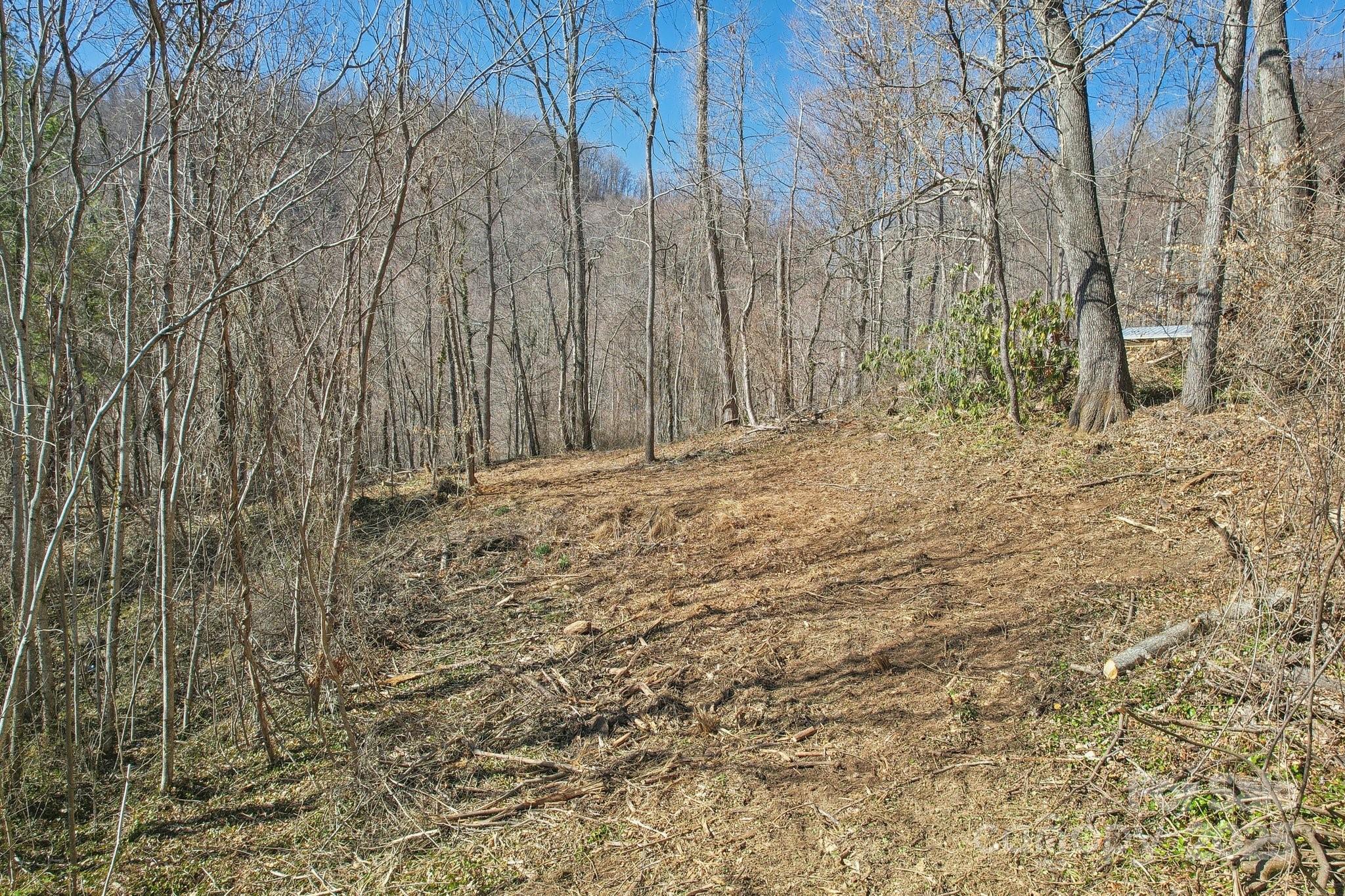 151 Maney Branch Road Property Photo 5