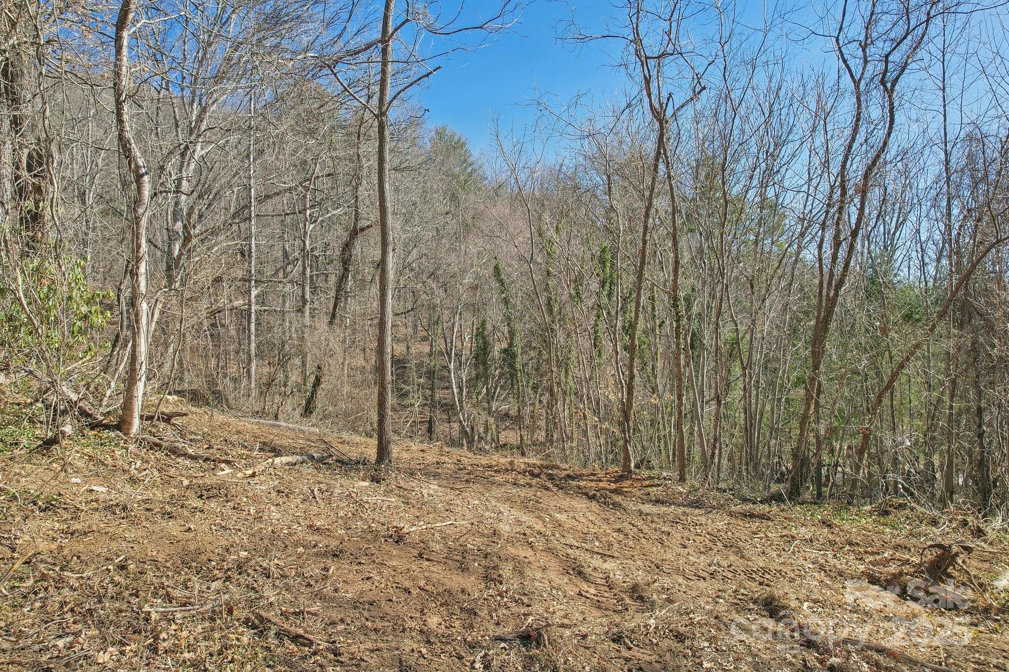 151 Maney Branch Road Property Photo 6