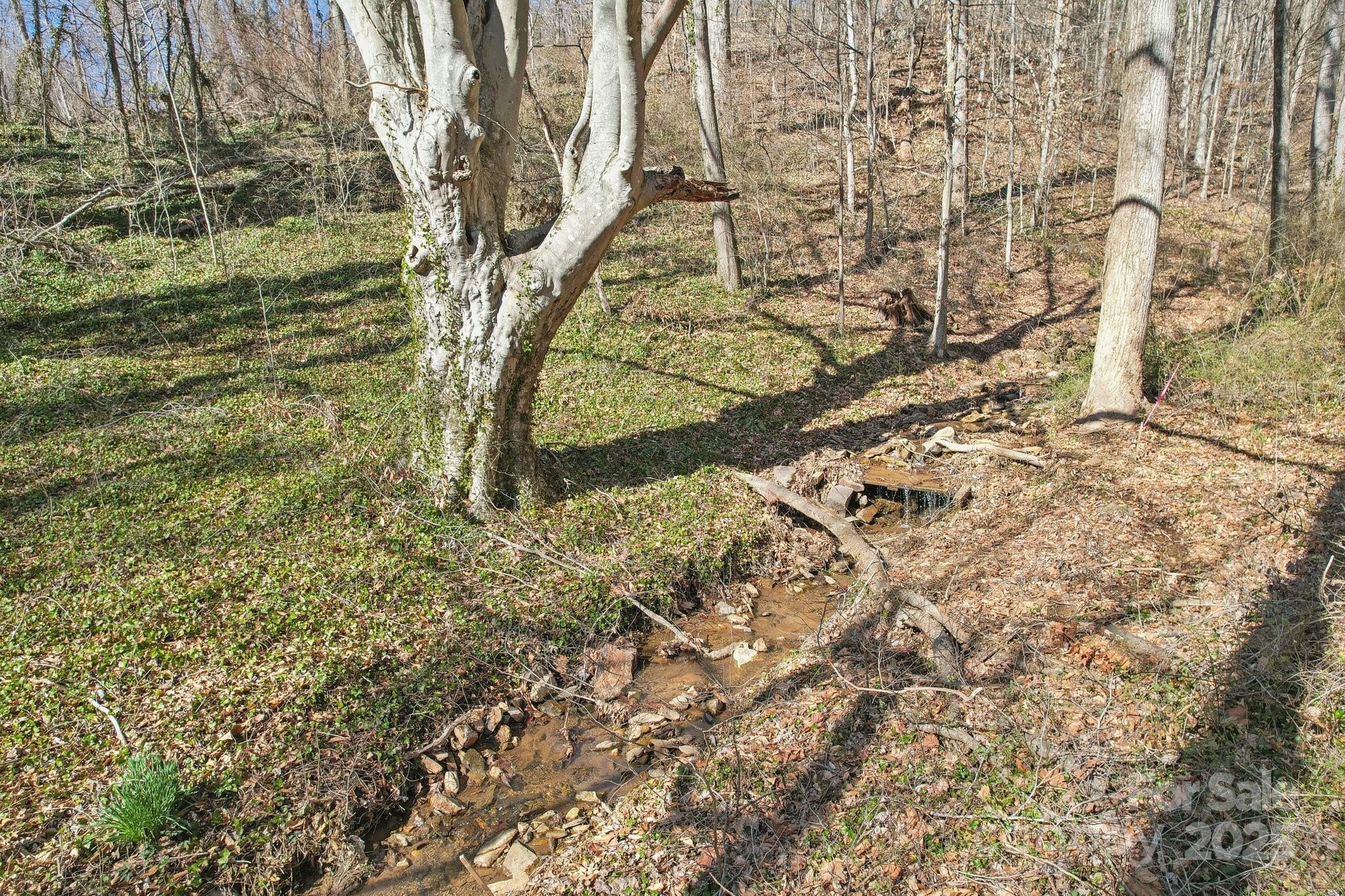 151 Maney Branch Road Property Photo 7