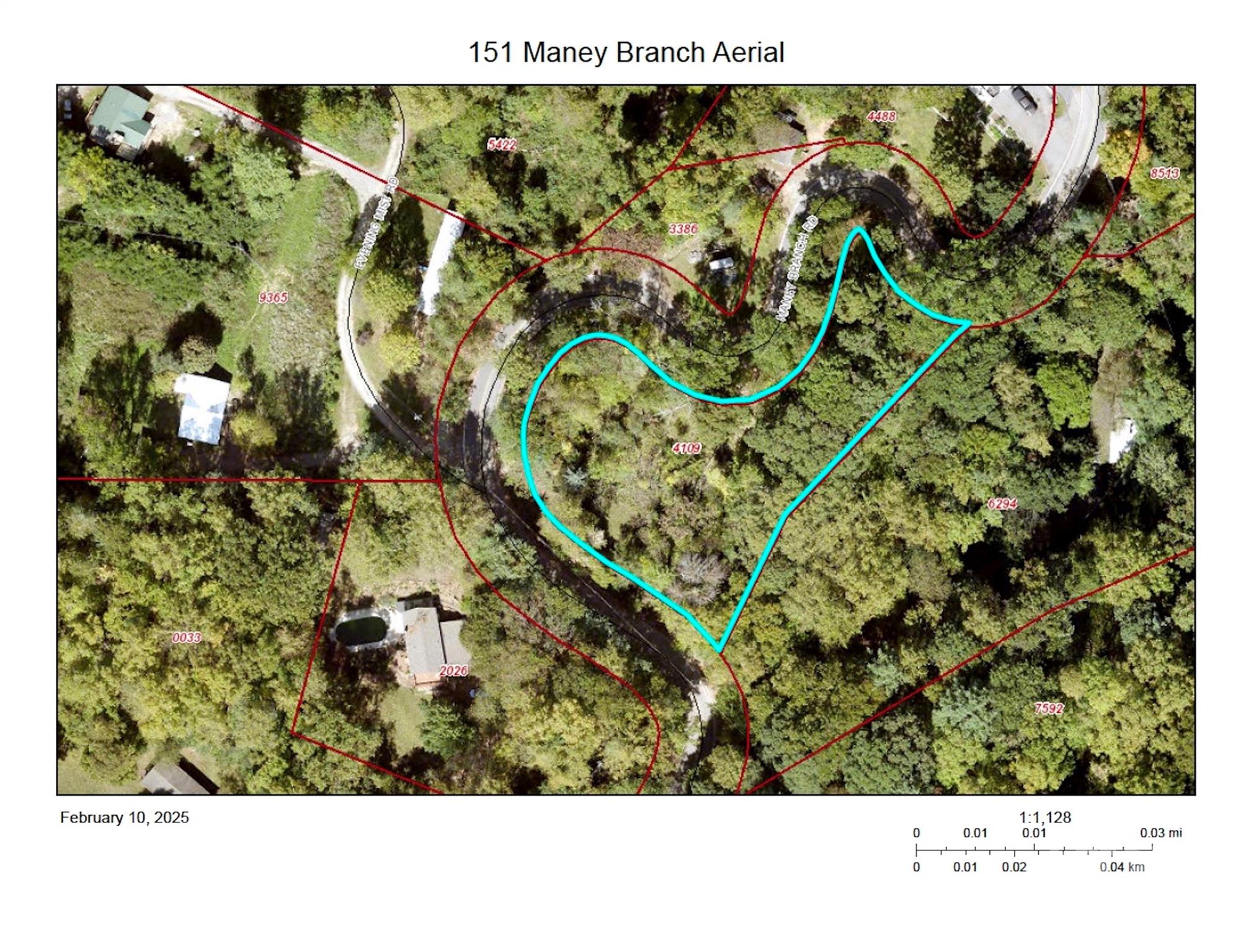 151 Maney Branch Road Property Photo 9