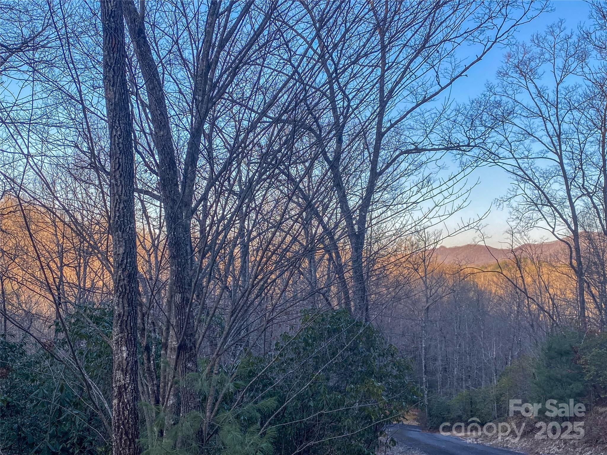 Lot 26 Ridge Trail Drive Property Photo