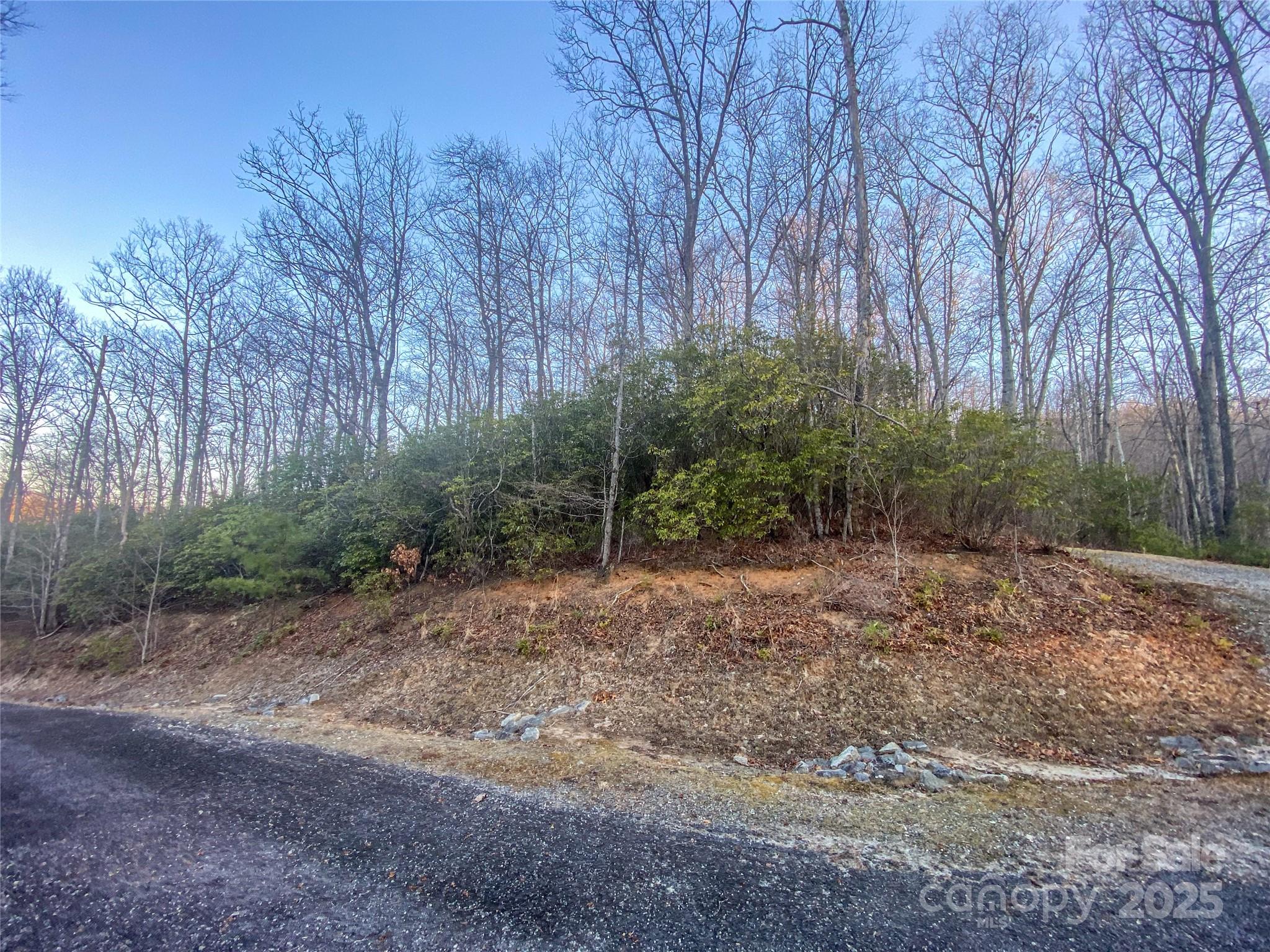 Lot 26 Ridge Trail Drive Property Photo 4