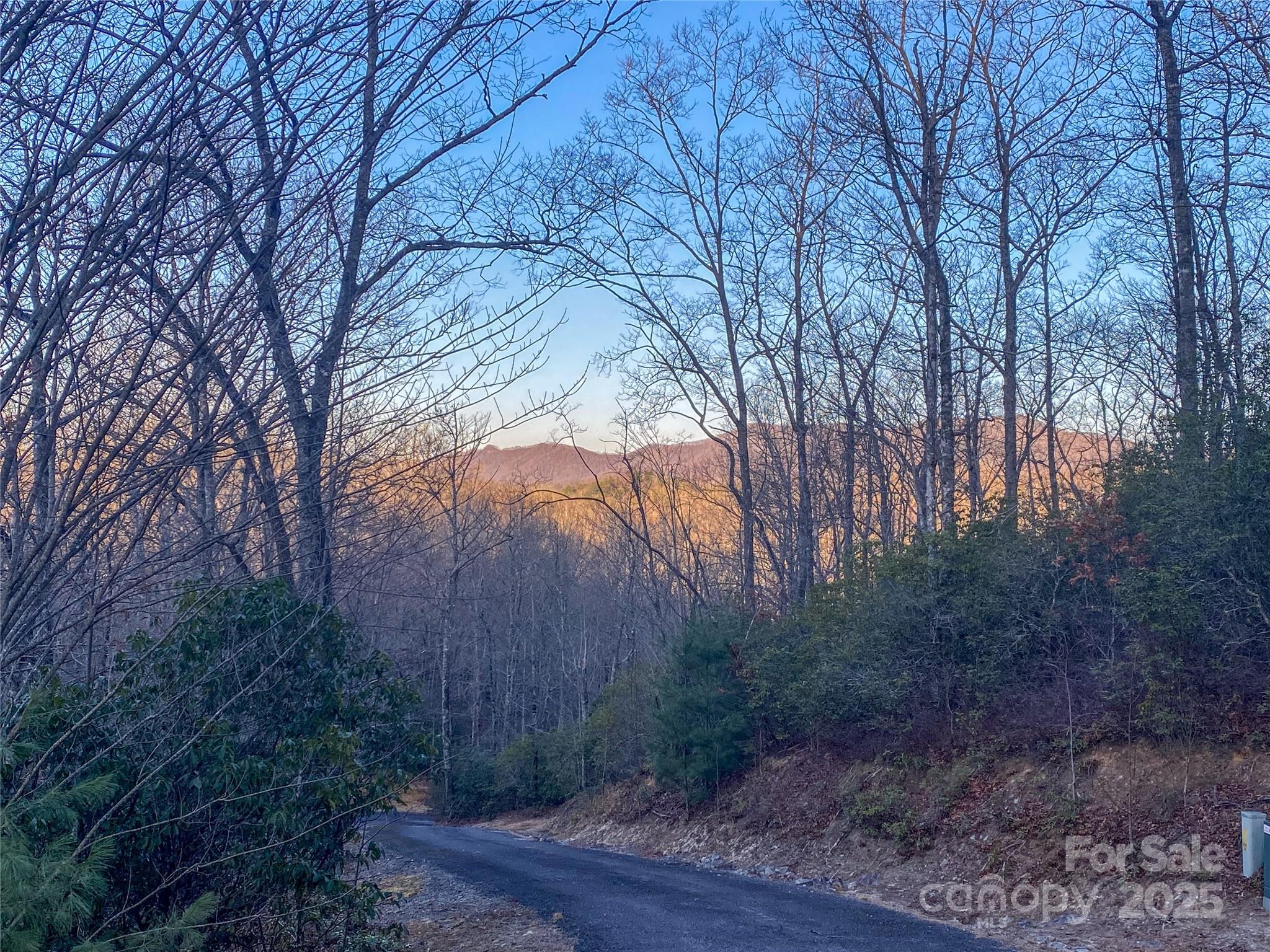 Lot 26 Ridge Trail Drive Property Photo 6