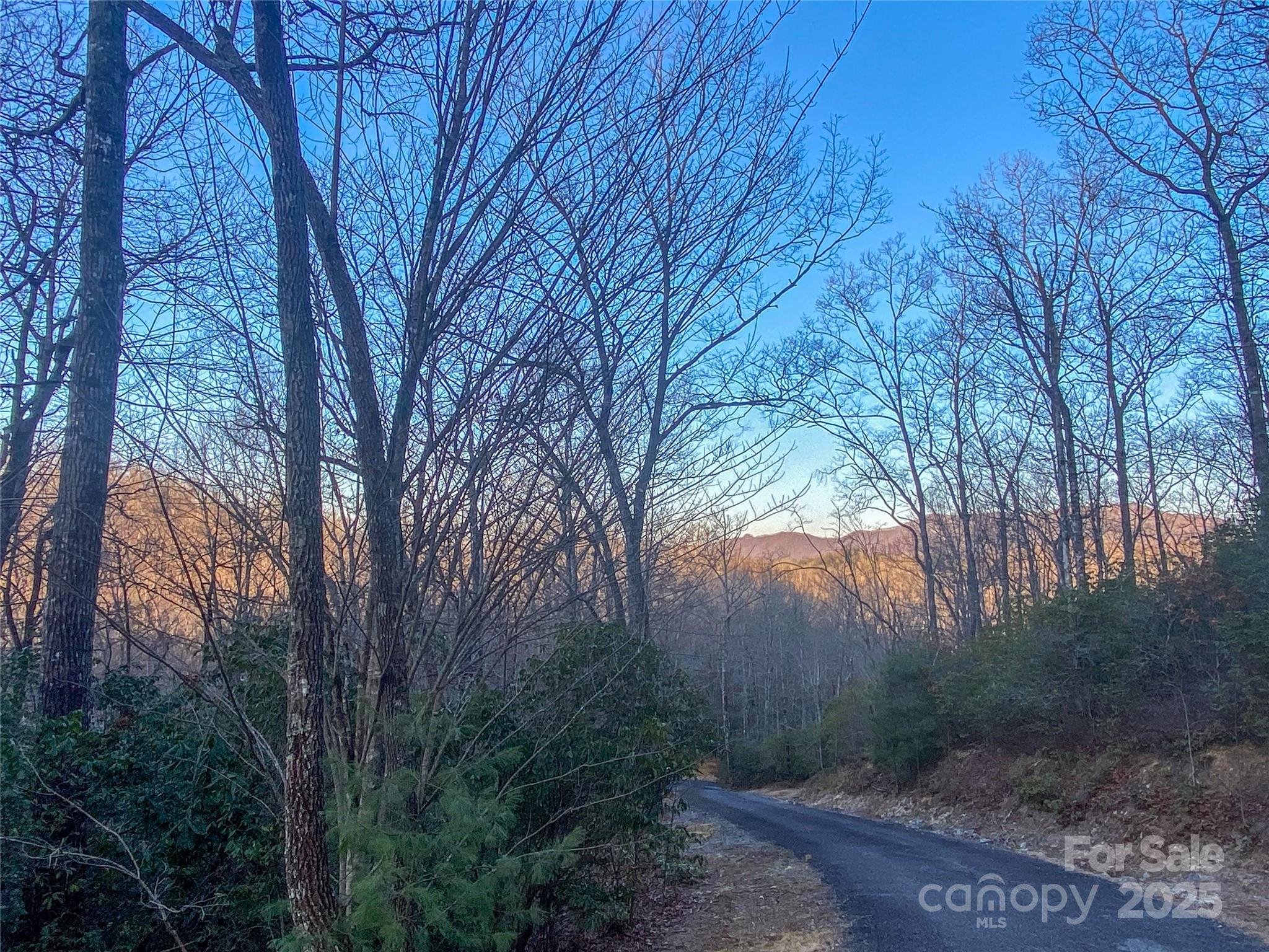 Lot 26 Ridge Trail Drive Property Photo 7