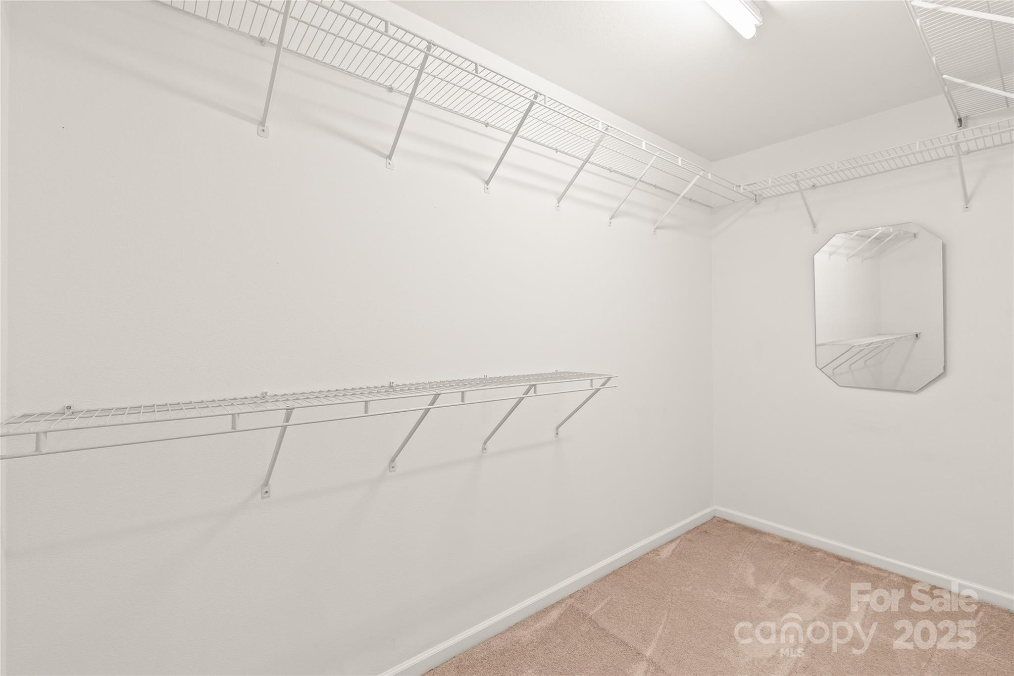 16911 Commons Creek Drive Property Photo 18