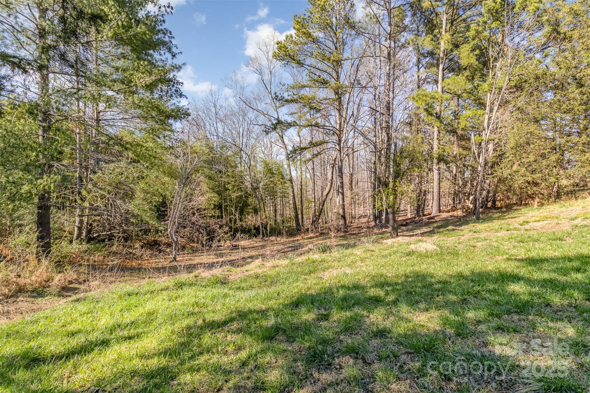 456 Burnt Gin Road Property Photo 25