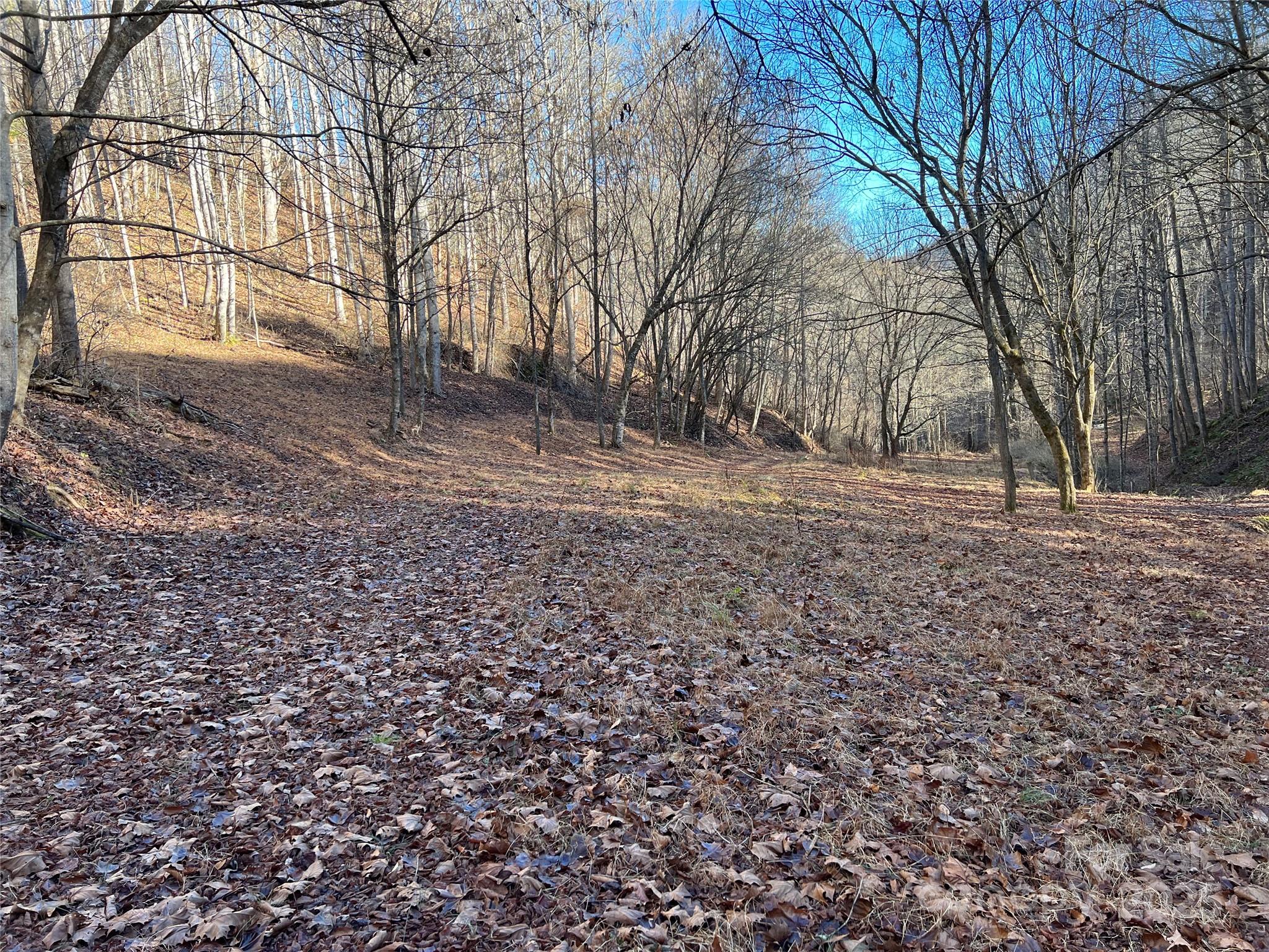 12982 Us Hwy 19w None Property Photo 41