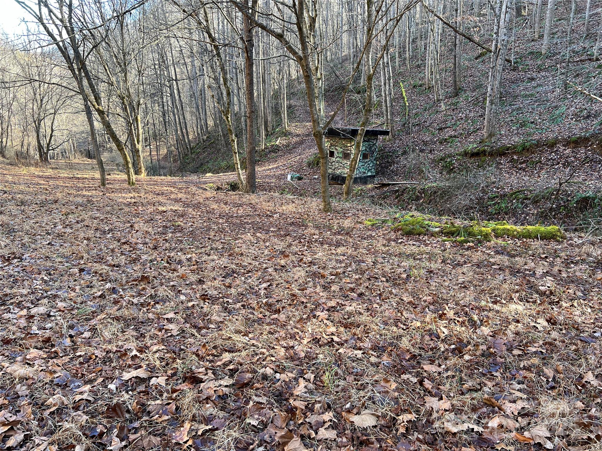 12982 Us Hwy 19w None Property Photo 42