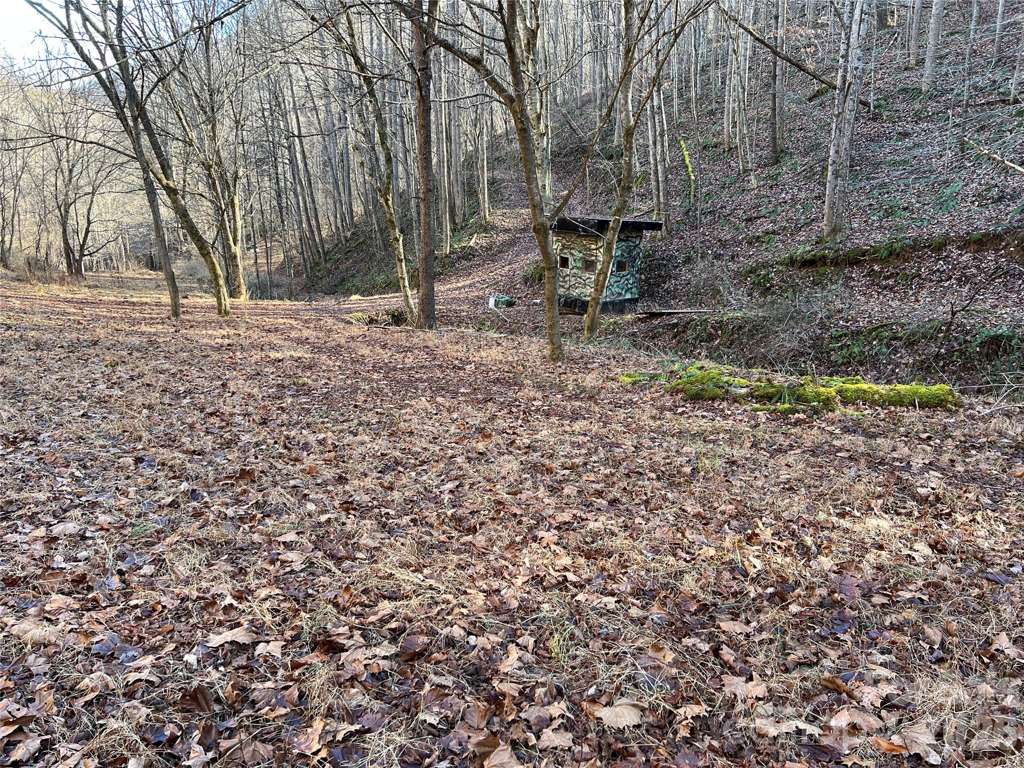12982 Us Hwy 19w None Property Photo 42
