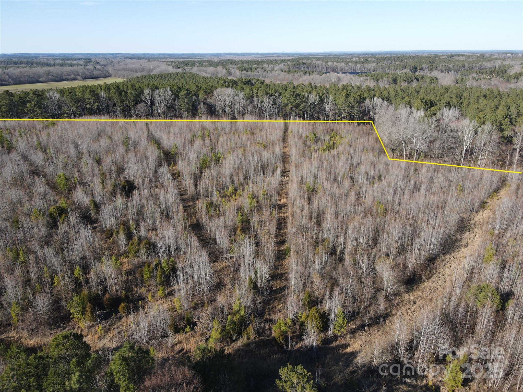 1440 Brown Creek Church Road Property Photo 13