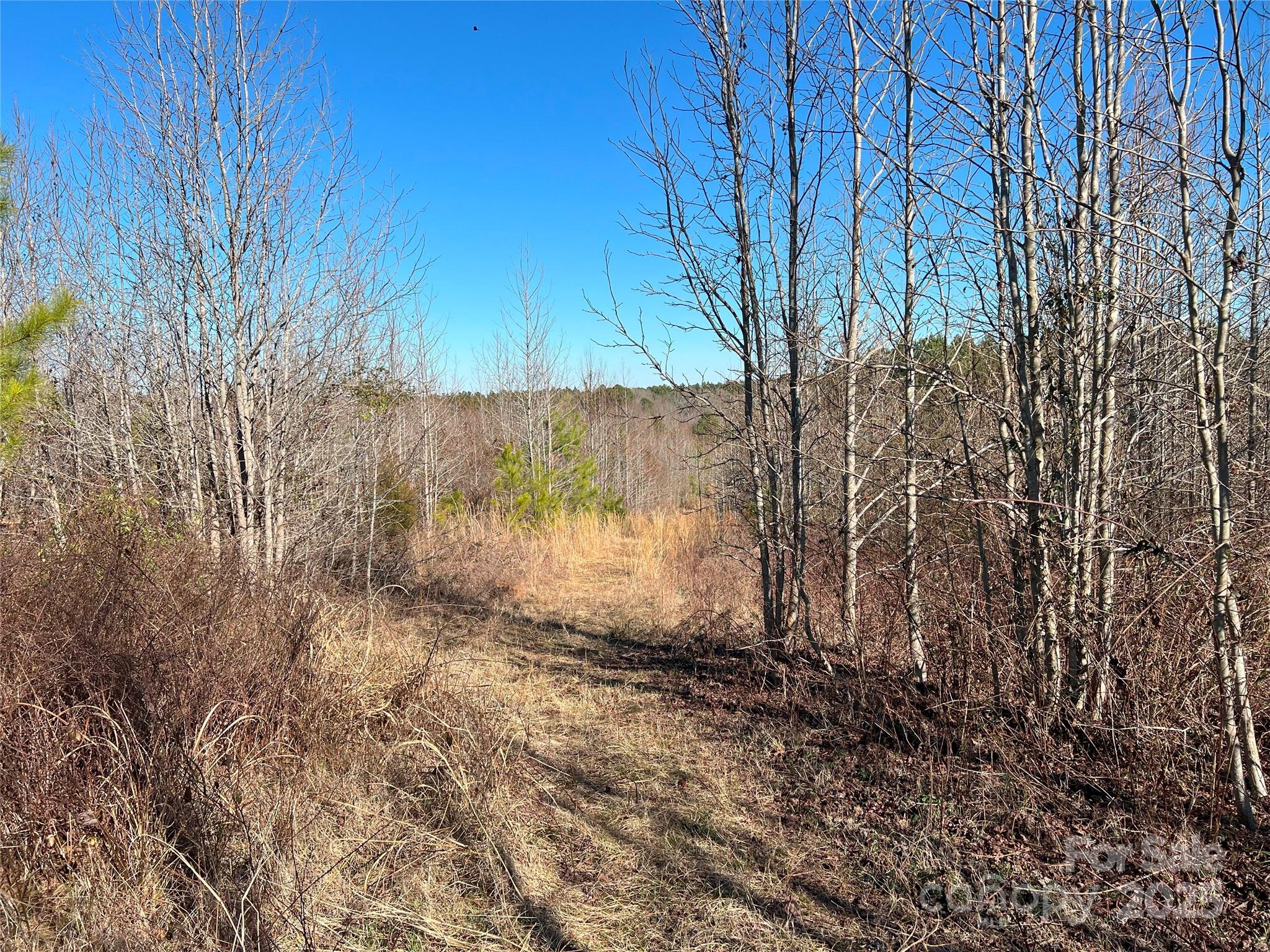 1440 Brown Creek Church Road Property Photo 16