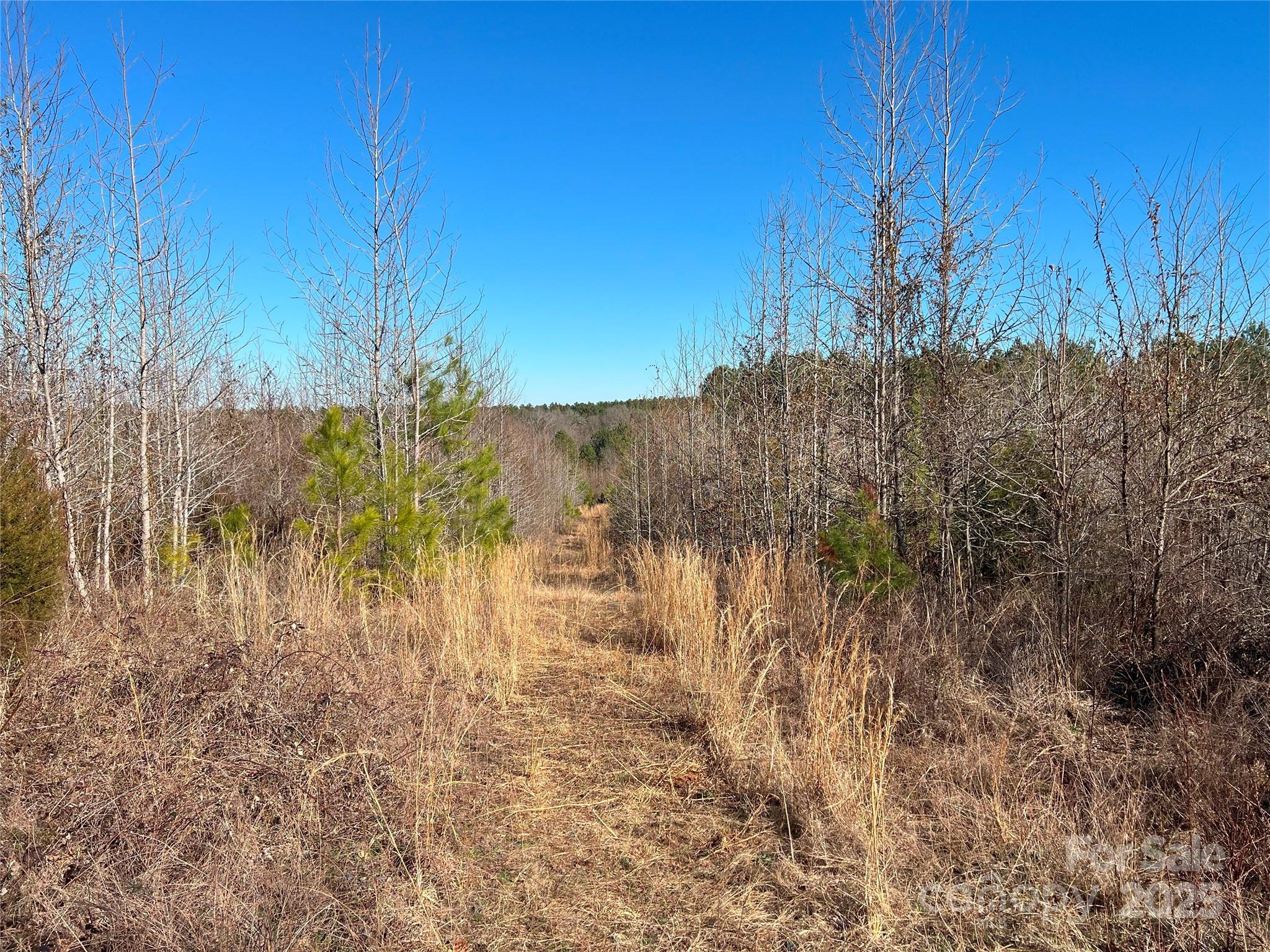 1440 Brown Creek Church Road Property Photo 17