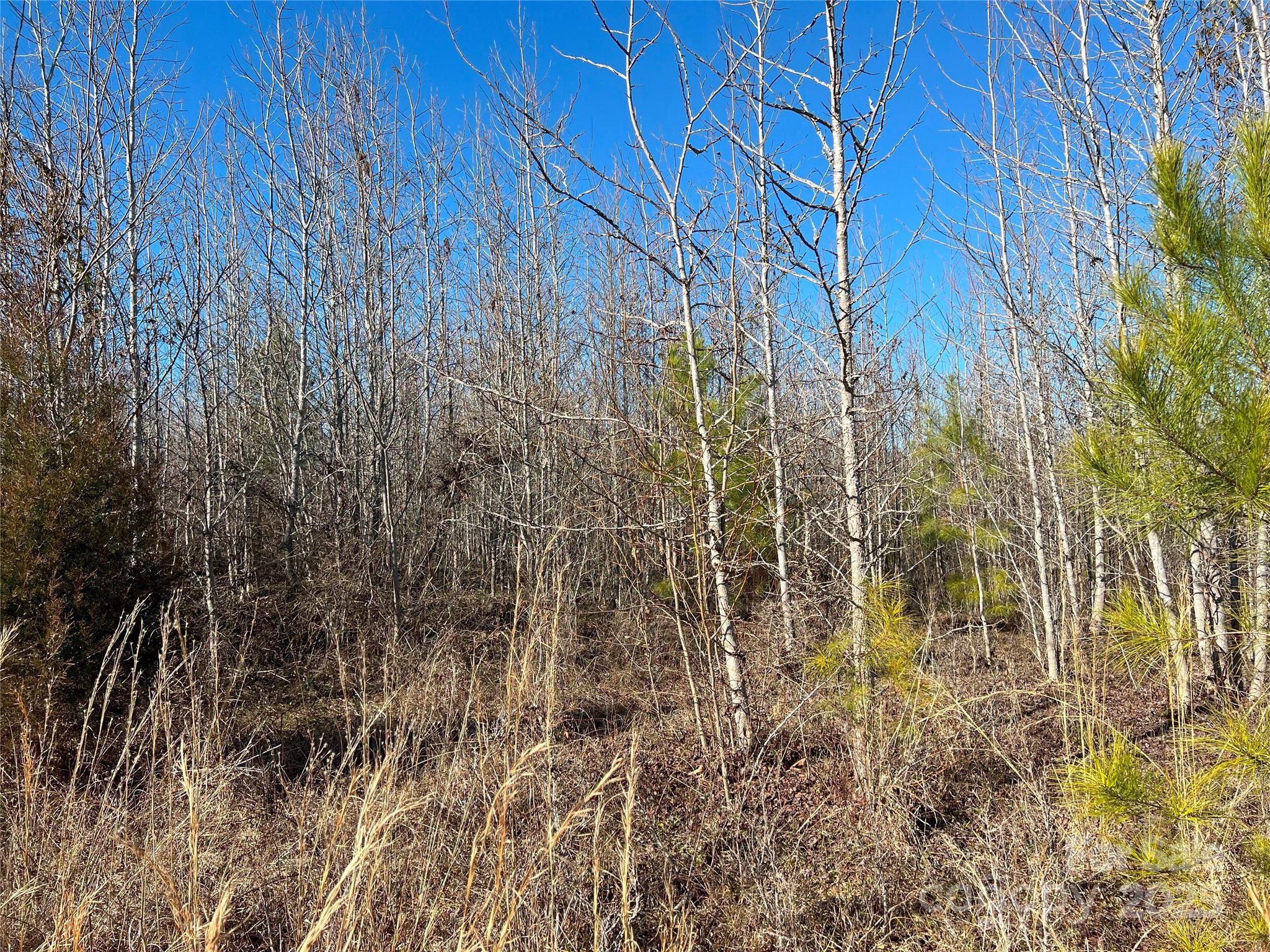 1440 Brown Creek Church Road Property Photo 18