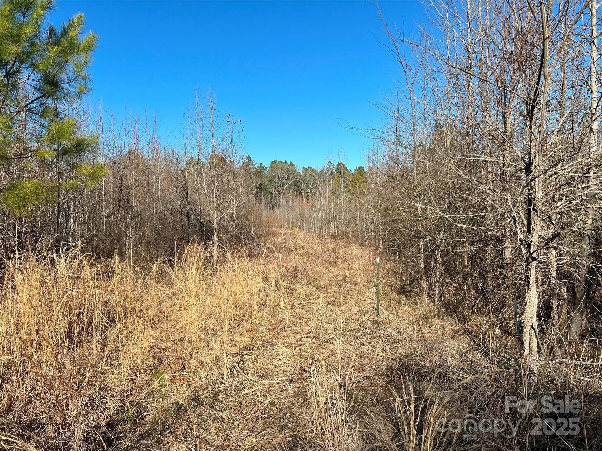 1440 Brown Creek Church Road Property Photo 19