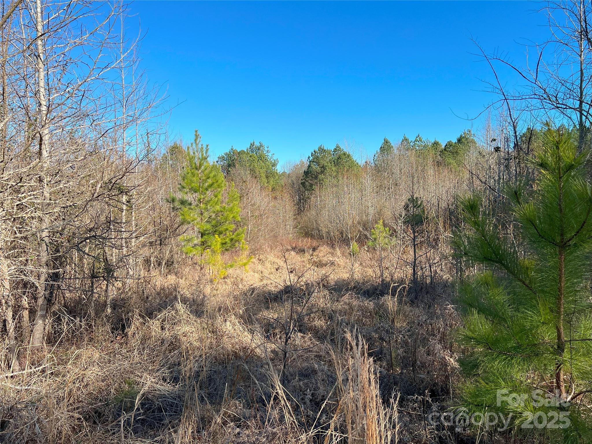 1440 Brown Creek Church Road Property Photo 20