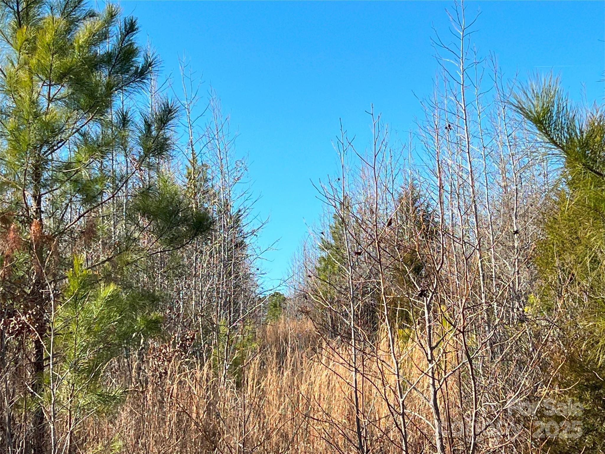 1440 Brown Creek Church Road Property Photo 21