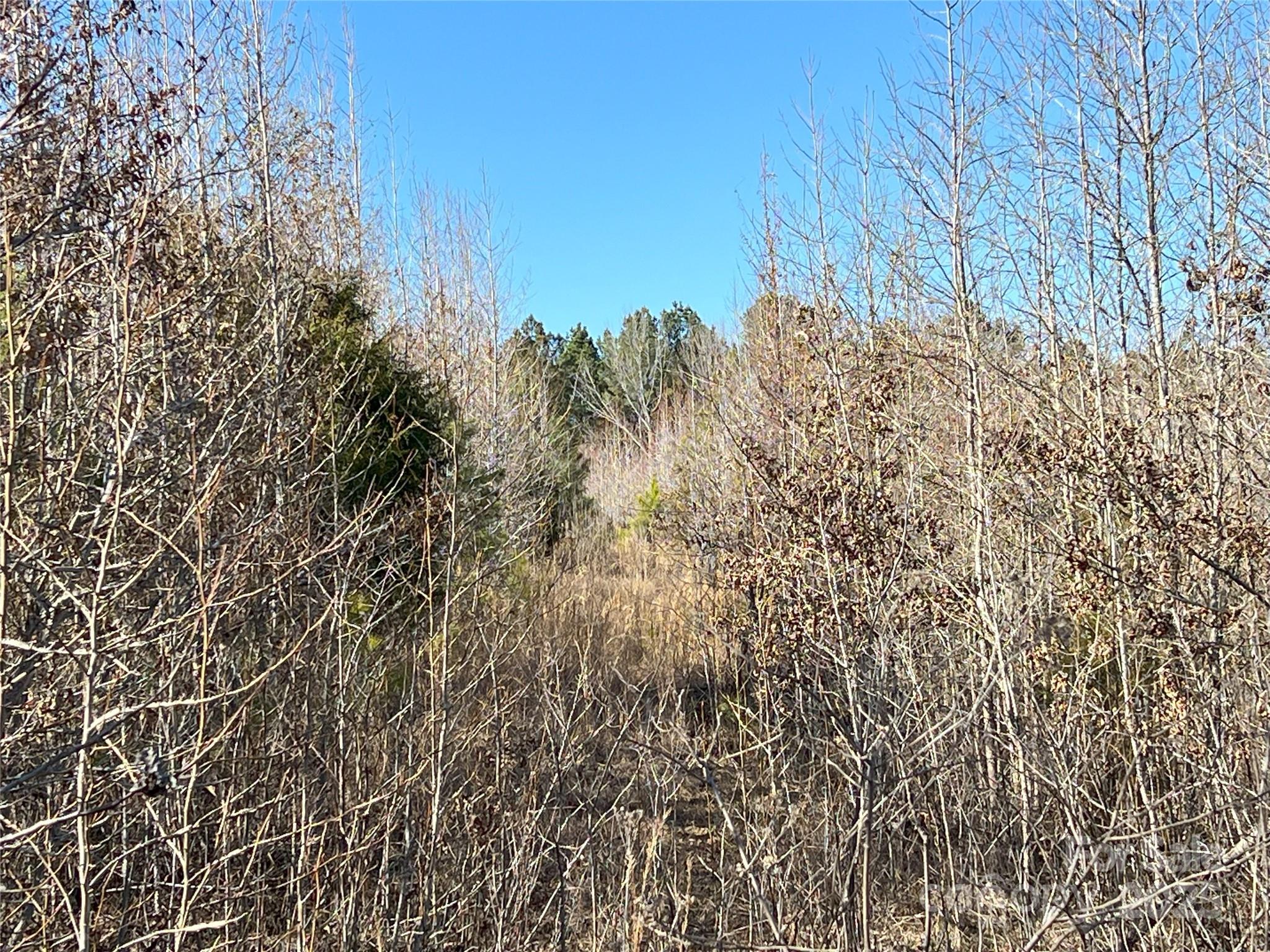 1440 Brown Creek Church Road Property Photo 22