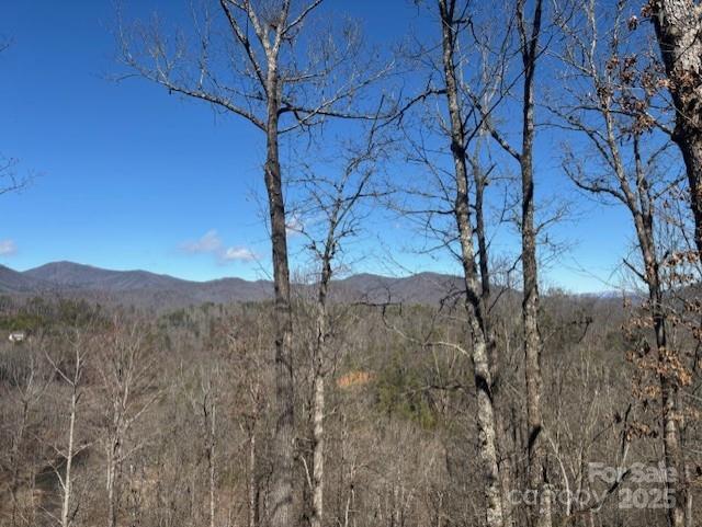 261 Holley Mountain Top Road Property Photo 3
