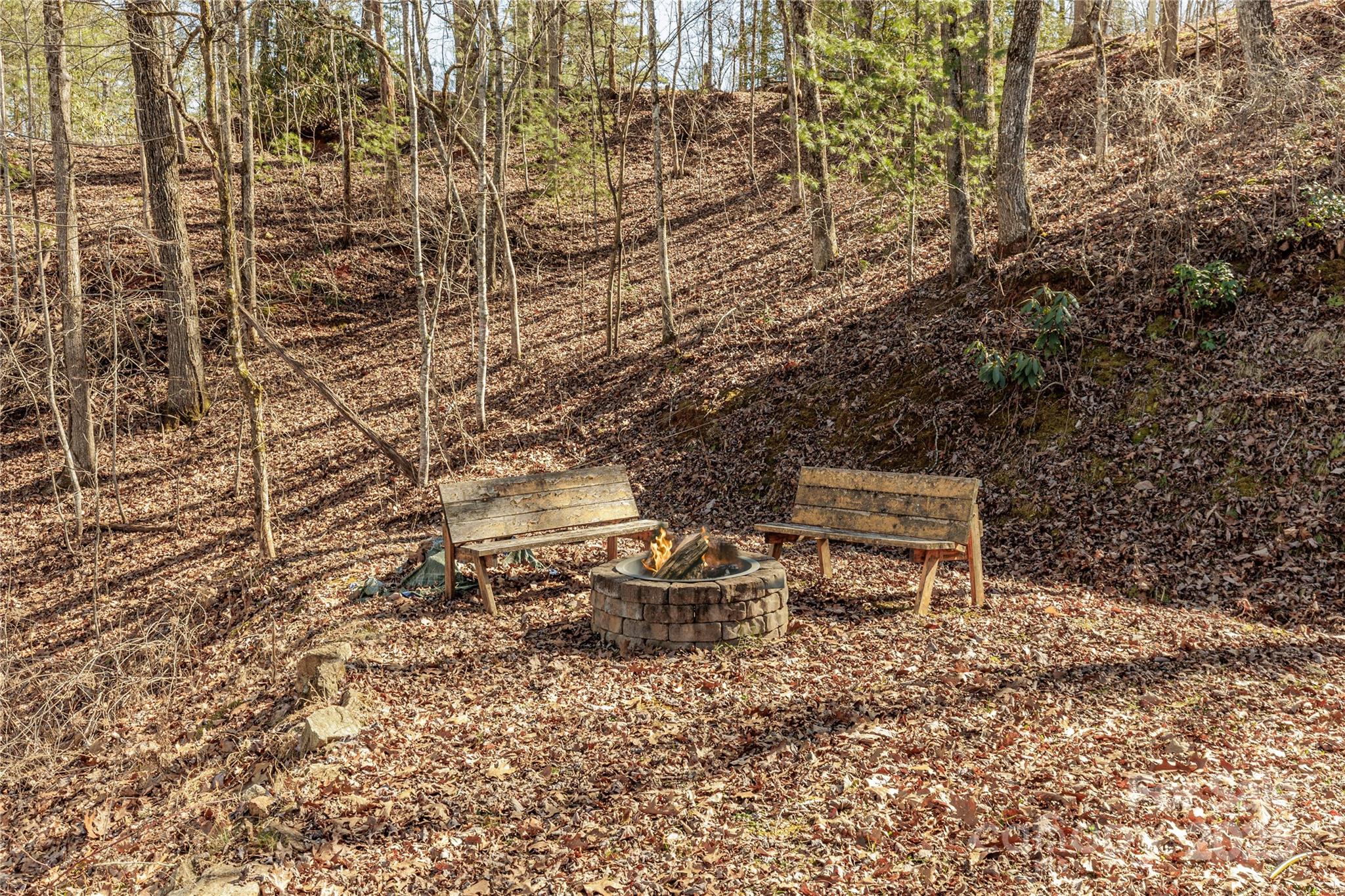 261 Holley Mountain Top Road Property Photo 22