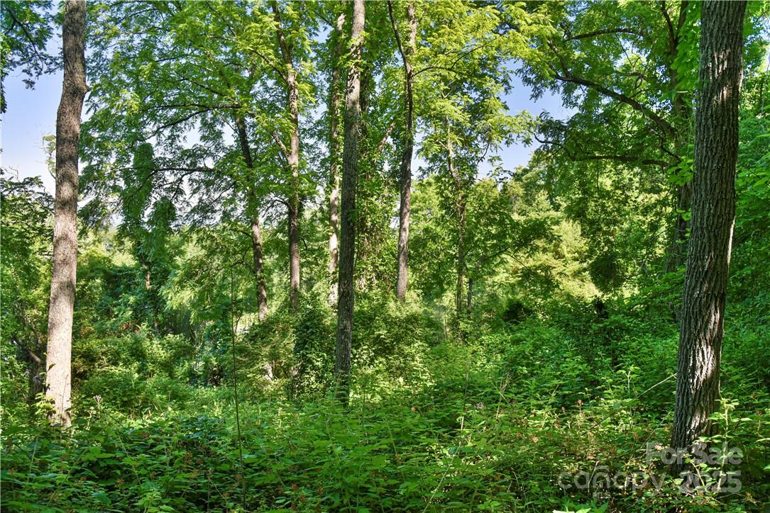 415 Weaverville Road 59 1/2 Pt 59 & Pt 60 Property Photo 23