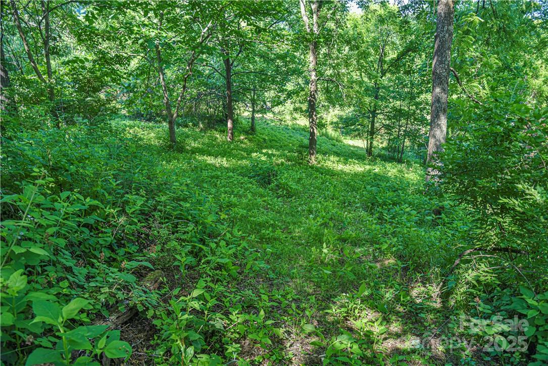 415 Weaverville Road 59 1/2 Pt 59 & Pt 60 Property Photo 24