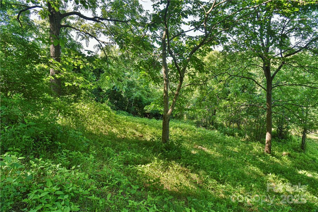 415 Weaverville Road 59 1/2 Pt 59 & Pt 60 Property Photo 25
