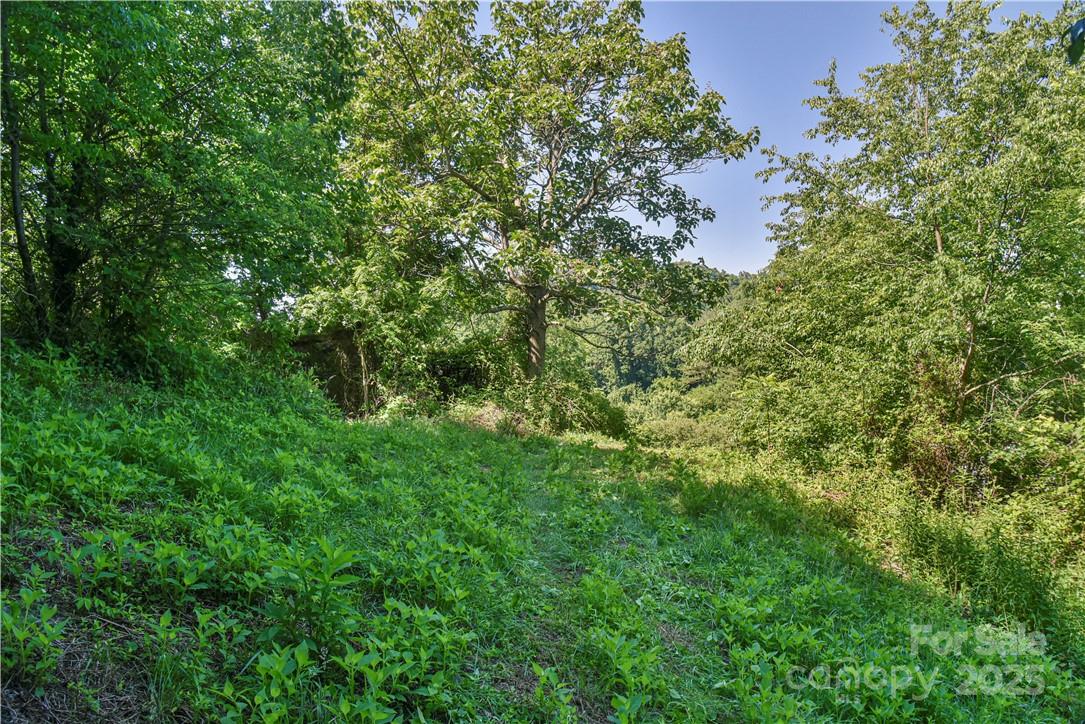 415 Weaverville Road 59 1/2 Pt 59 & Pt 60 Property Photo 26