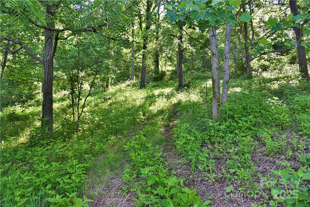 415 Weaverville Road 59 1/2 Pt 59 & Pt 60 Property Photo 27