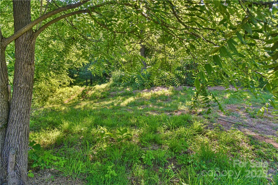 415 Weaverville Road 59 1/2 Pt 59 & Pt 60 Property Photo 28