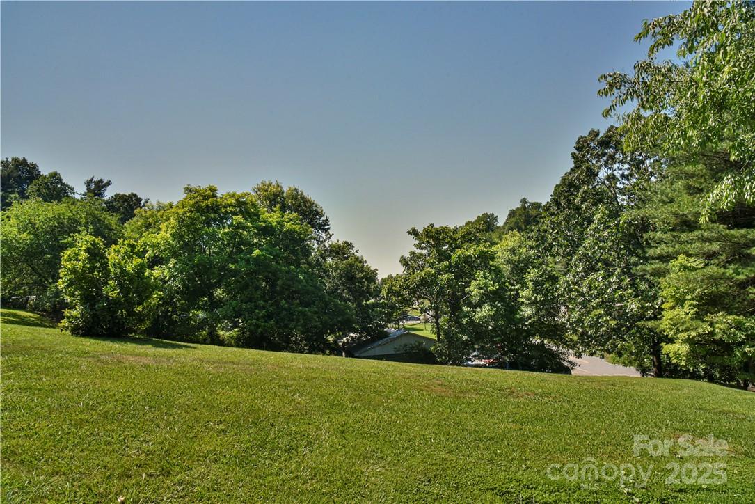 415 Weaverville Road 59 1/2 Pt 59 & Pt 60 Property Photo 31