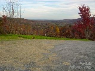 00 Owls Ridge Drive Property Photo 4