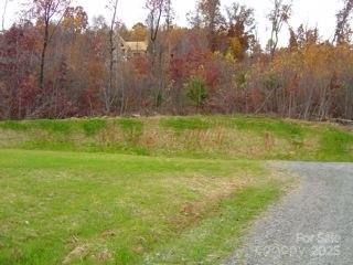 00 Owls Ridge Drive Property Photo 5