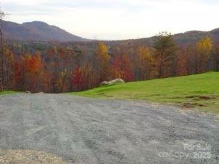 00 Owls Ridge Drive Property Photo 6