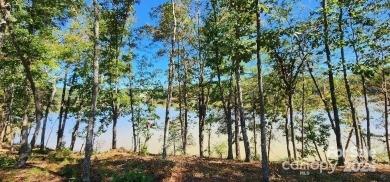 Lot 229 Scenic Lane Property Photo 3