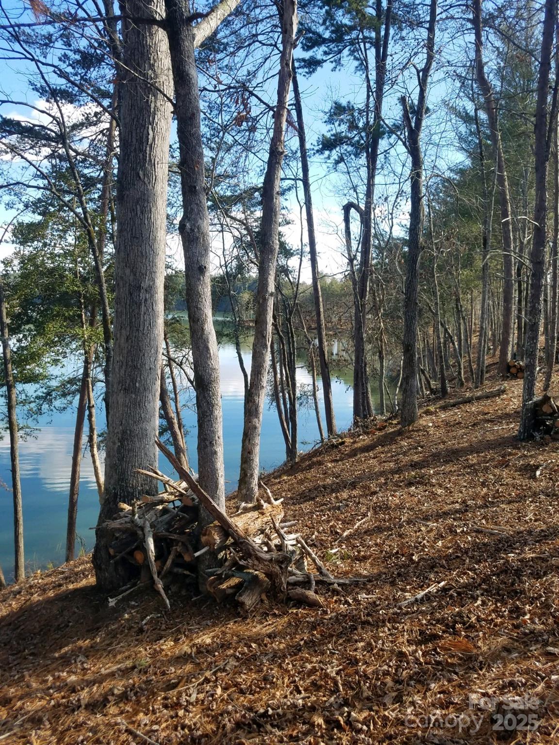 Lot 229 Scenic Lane Property Photo 4