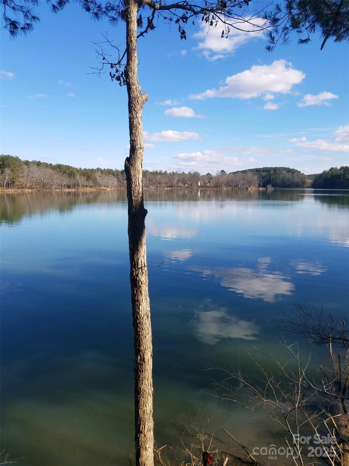 Lot 229 Scenic Lane Property Photo 5