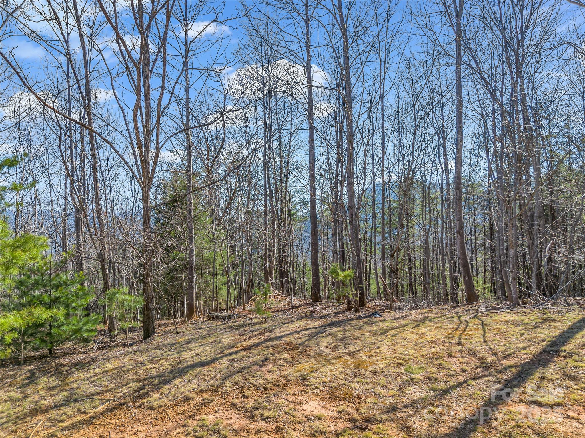 190 Cherry Hill None Property Photo 7