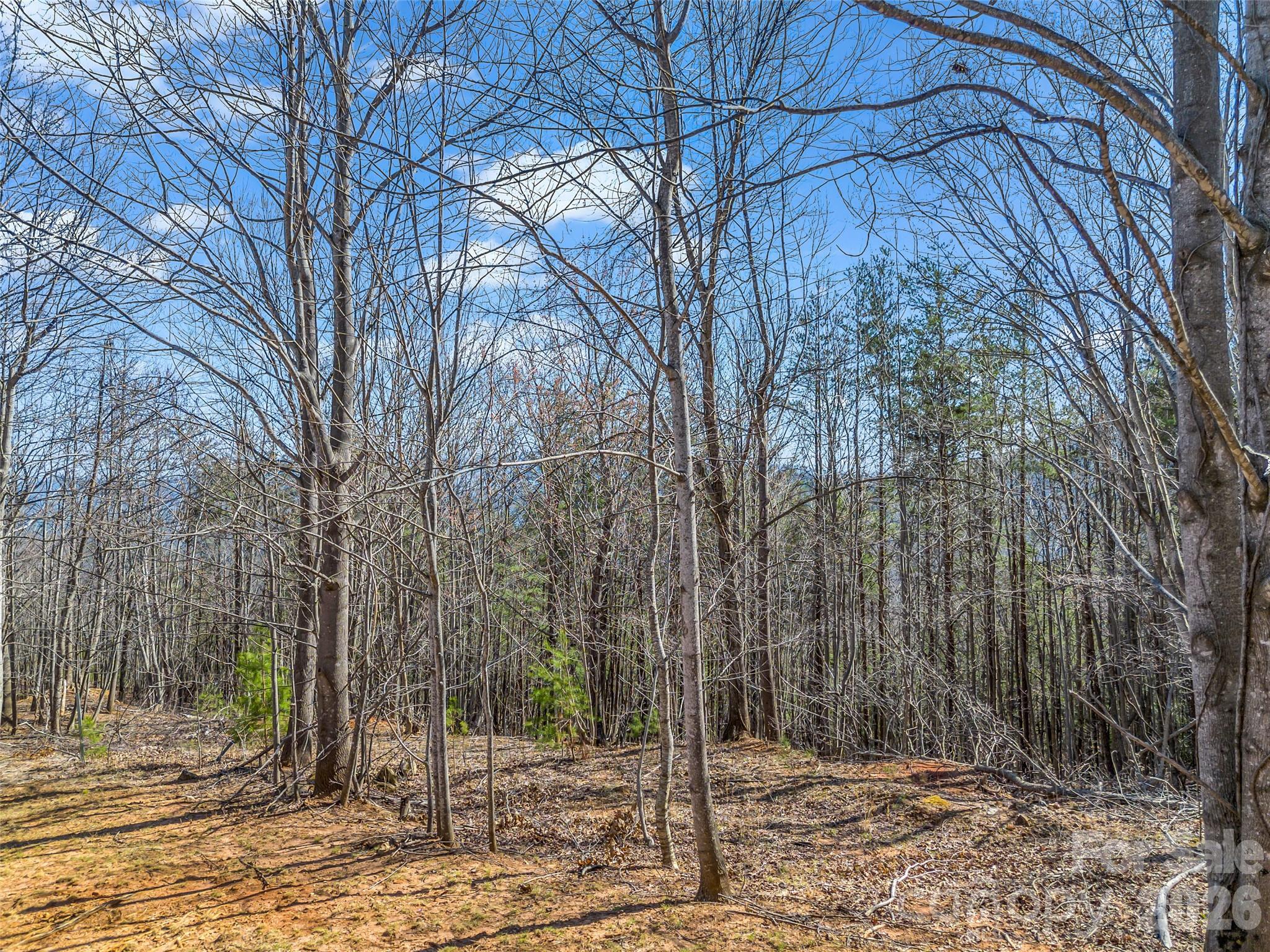 190 Cherry Hill None Property Photo 8