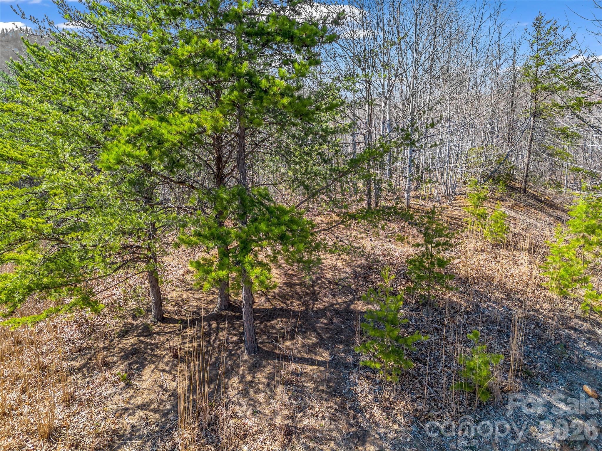 190 Cherry Hill None Property Photo 10
