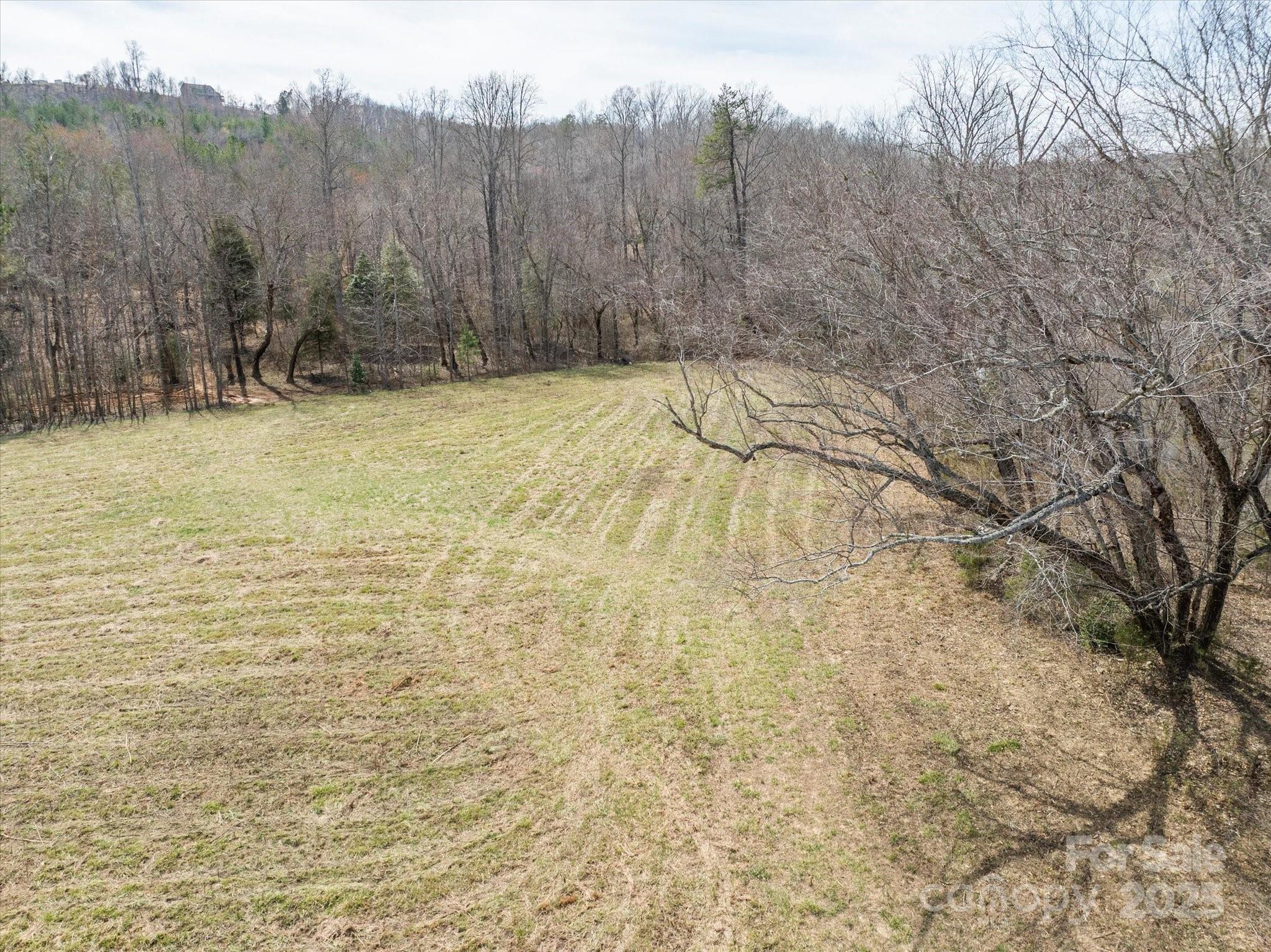 99999 Abrams & Moore Road Property Photo 9