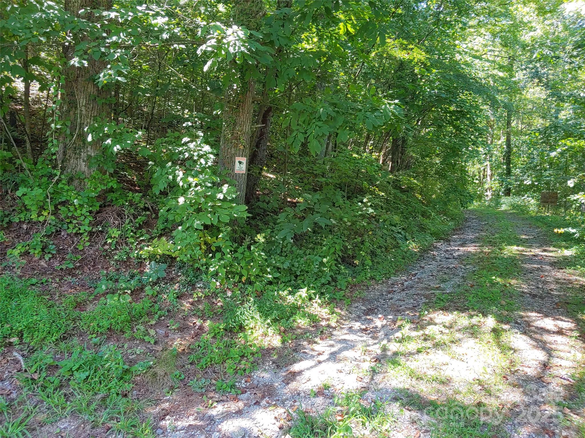 0000 Thomasville Lane Property Photo 2