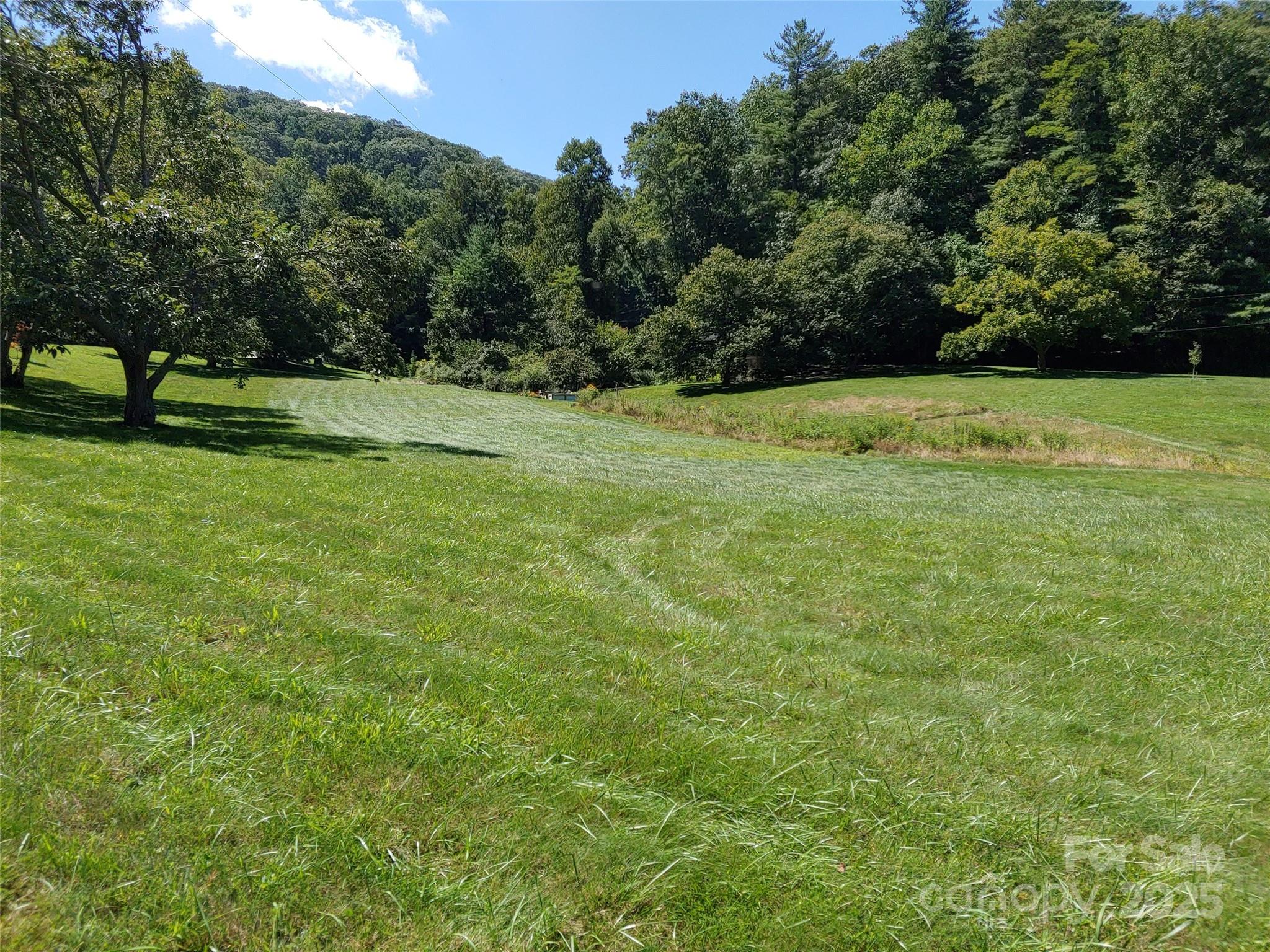 0000 Thomasville Lane Property Photo 10