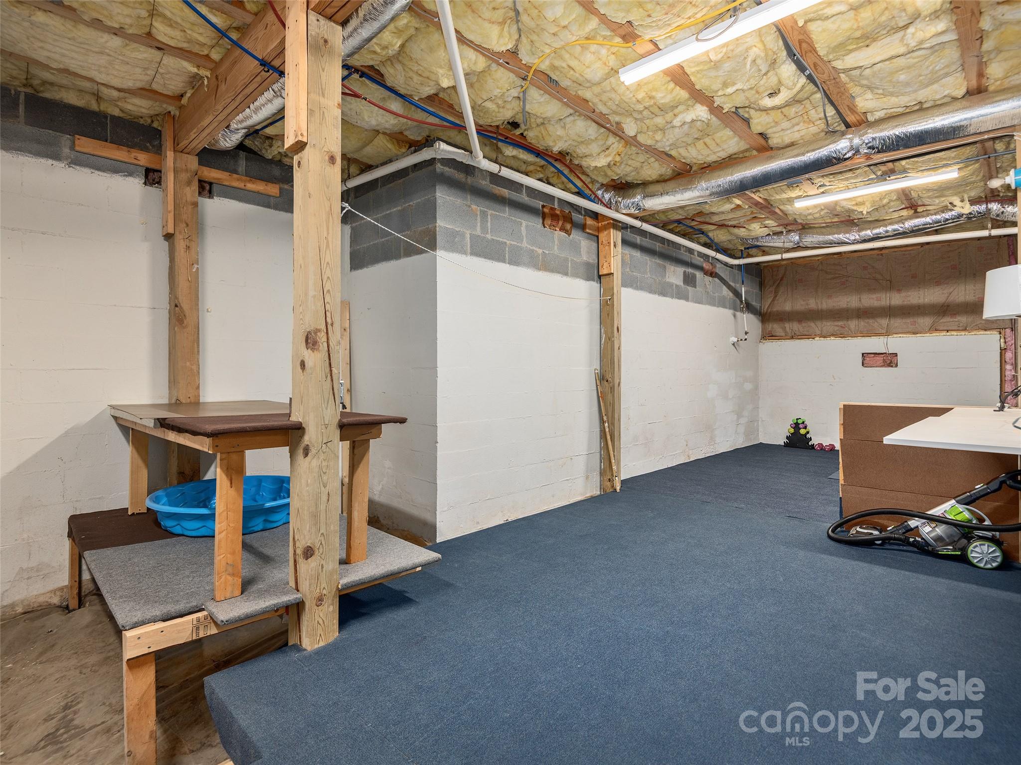 105 Valley Hill Drive Property Photo 30